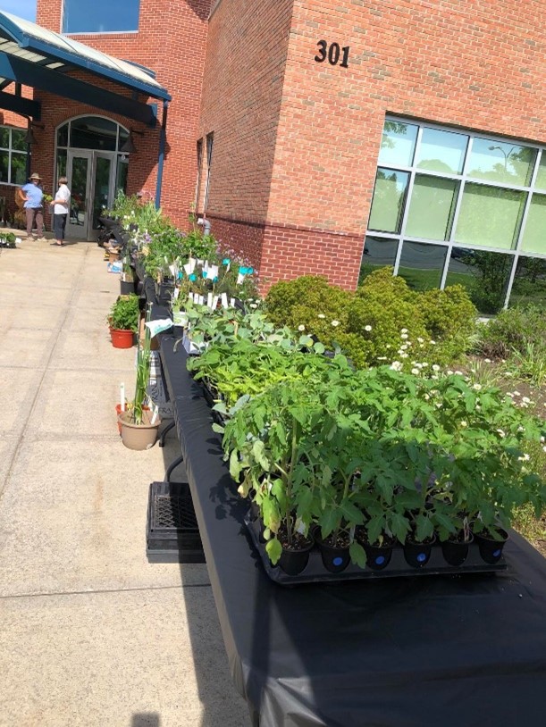 Chautauqua Master Gardeners announce11th annual plant sale | News, Sports, Jobs - Vimarsana News
